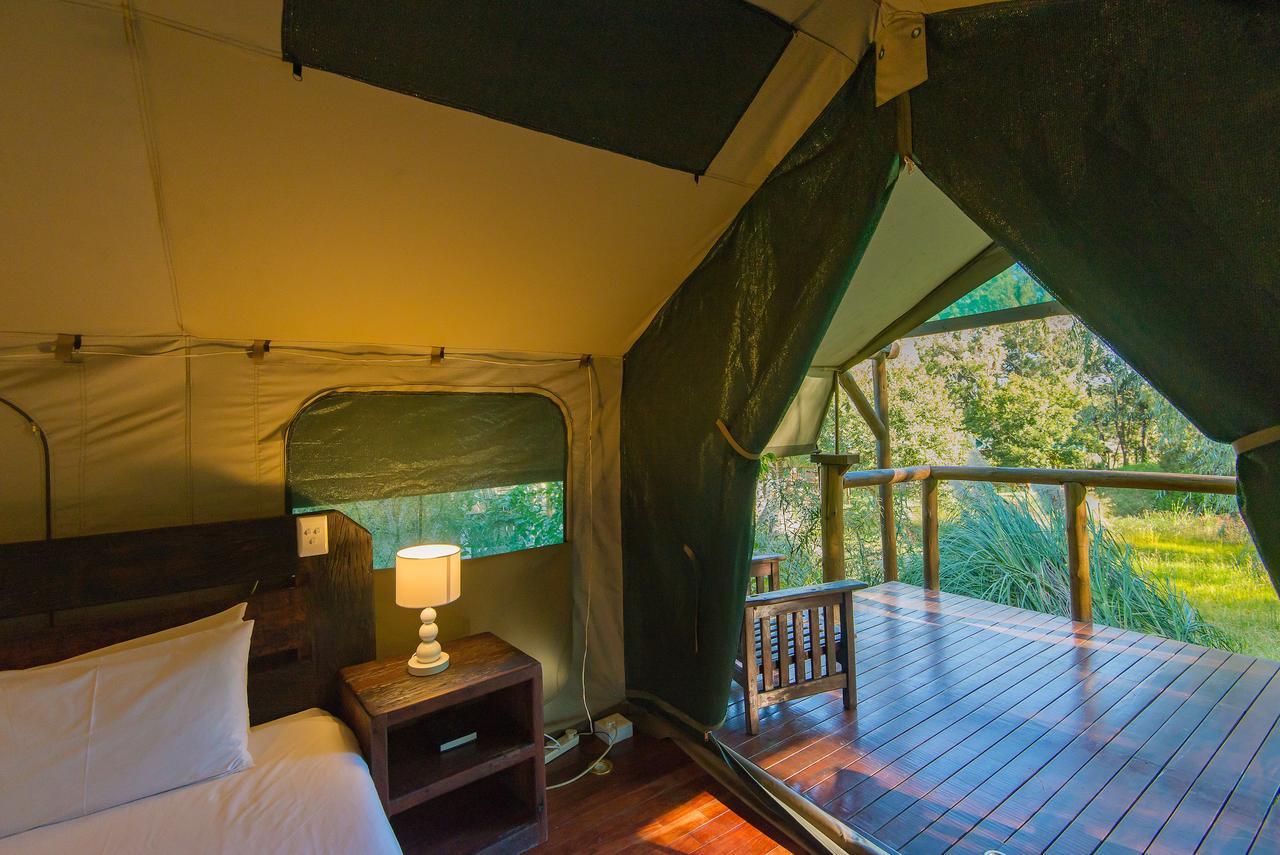 Amadwala Lodge Roodepoort Rom bilde
