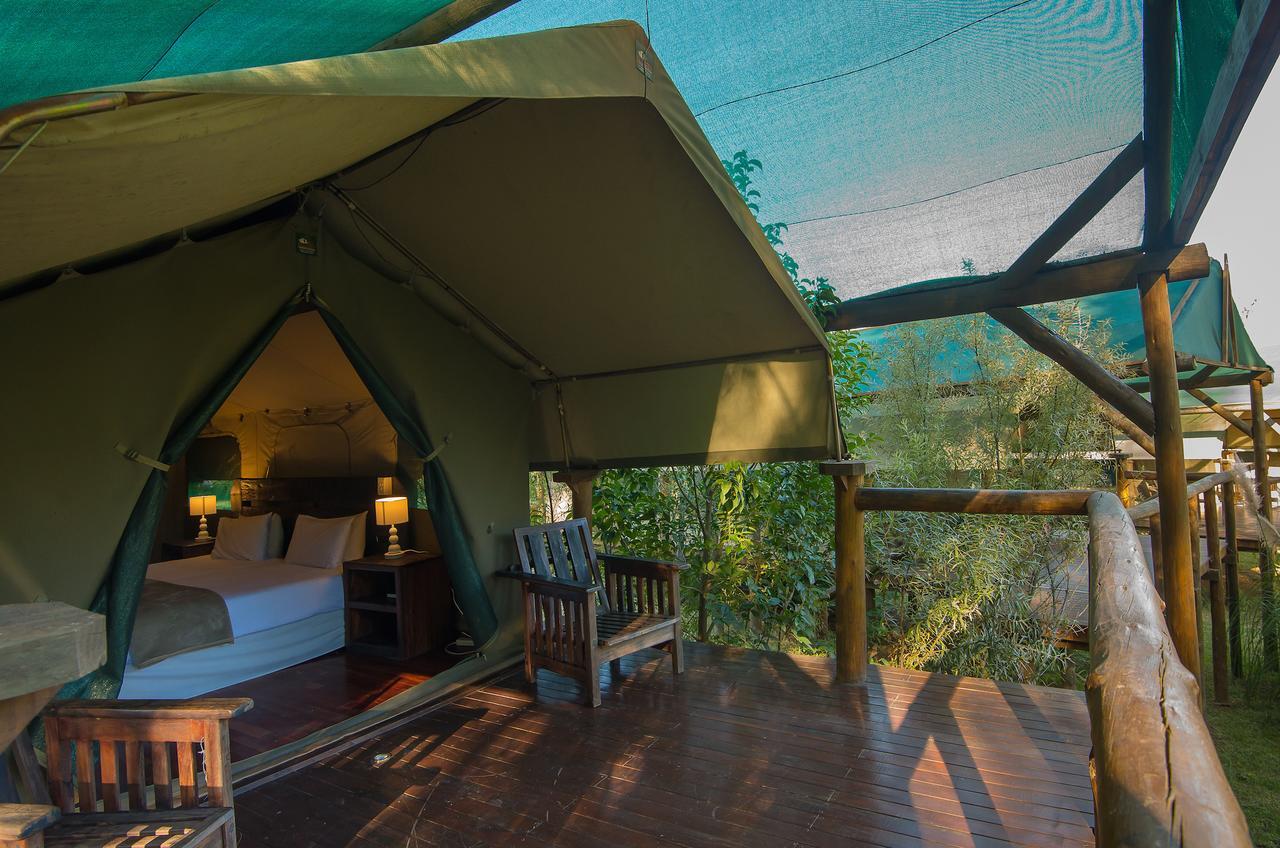 Amadwala Lodge Roodepoort Rom bilde